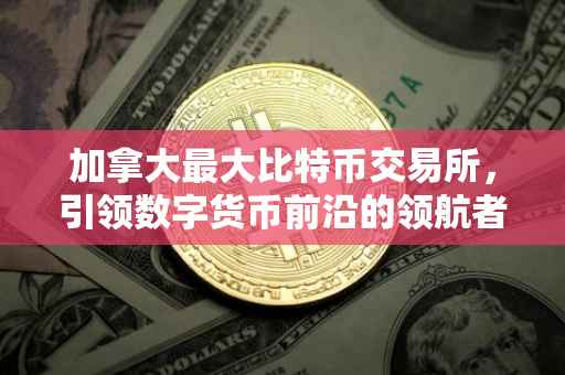 加拿大最大比特币交易所，引领数字货币前沿的领航者