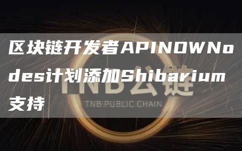 区块链开发者APINOWNodes计划添加Shibarium支持