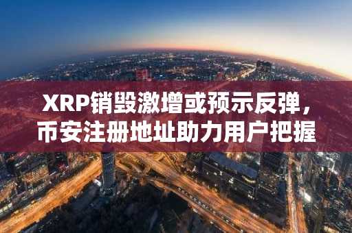 XRP销毁激增或预示反弹，币安注册地址助力用户把握行情