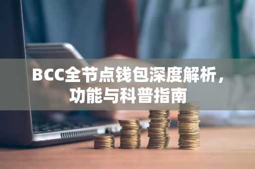 BCC全节点钱包深度解析，功能与科普指南