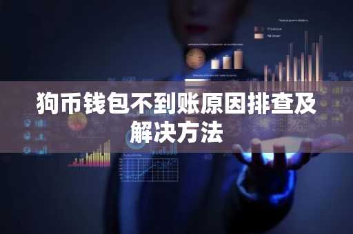 狗币钱包不到账原因排查及解决方法