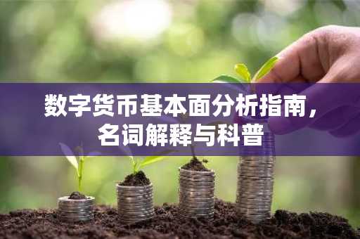 数字货币基本面分析指南，名词解释与科普