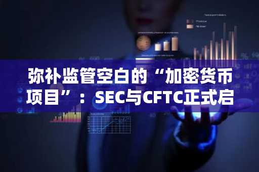 弥补监管空白的“加密货币项目”：SEC与CFTC正式启动监管整合合作