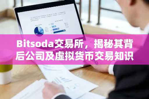Bitsoda交易所，揭秘其背后公司及虚拟货币交易知识