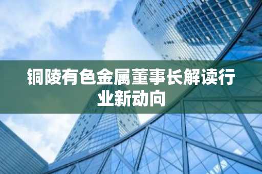 铜陵有色金属董事长解读行业新动向