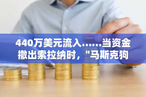 440万美元流入……当资金撤出索拉纳时，"马斯克狗币"成为吸金焦点