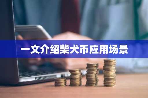 一文介绍柴犬币应用场景