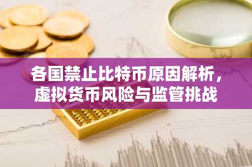 各国禁止比特币原因解析，虚拟货币风险与监管挑战