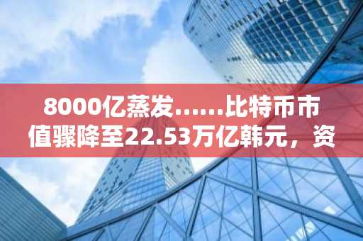 8000亿蒸发……比特币市值骤降至22.53万亿韩元，资产排名跌至第13位