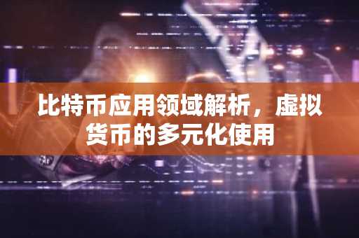 比特币应用领域解析，虚拟货币的多元化使用