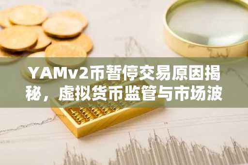 YAMv2币暂停交易原因揭秘，虚拟货币监管与市场波动