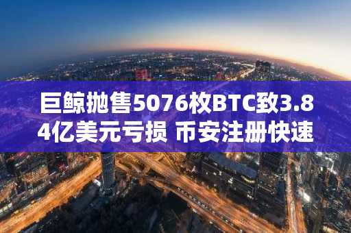 巨鲸抛售5076枚BTC致3.84亿美元亏损 币安注册快速入场应对波动