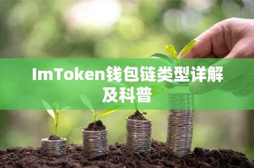 ImToken钱包链类型详解及科普