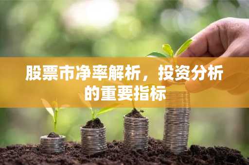 股票市净率解析，投资分析的重要指标