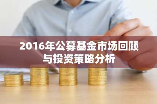2016年公募基金市场回顾与投资策略分析