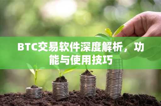 BTC交易软件深度解析，功能与使用技巧