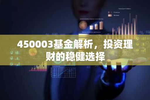 450003基金解析，投资理财的稳健选择
