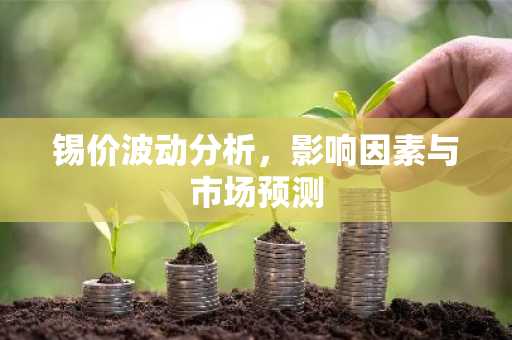 锡价波动分析，影响因素与市场预测