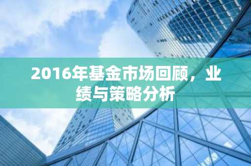 2016年基金市场回顾，业绩与策略分析