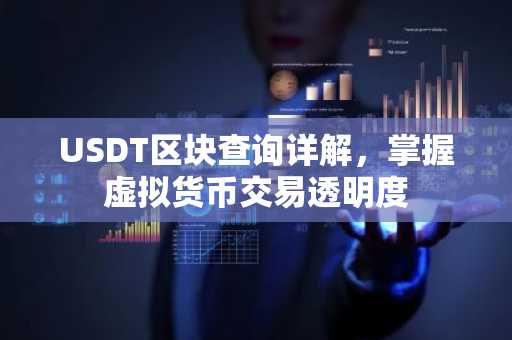 USDT区块查询详解，掌握虚拟货币交易透明度