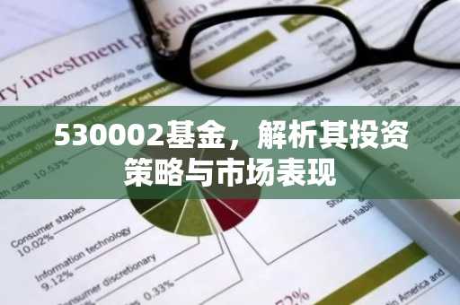 530002基金，解析其投资策略与市场表现