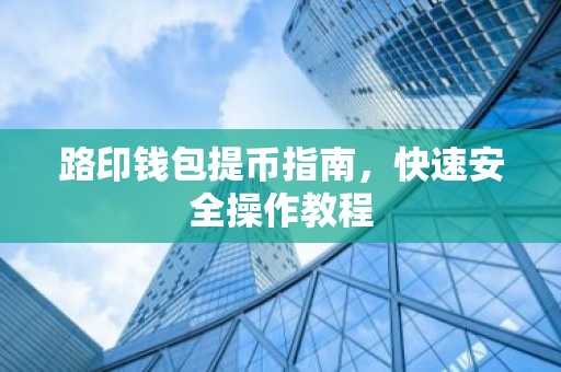 路印钱包提币指南，快速安全操作教程