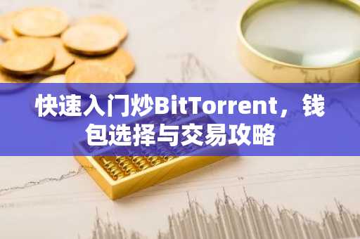 快速入门炒BitTorrent，钱包选择与交易攻略