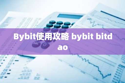 Bybit使用攻略 bybit bitdao