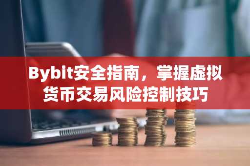 Bybit安全指南，掌握虚拟货币交易风险控制技巧