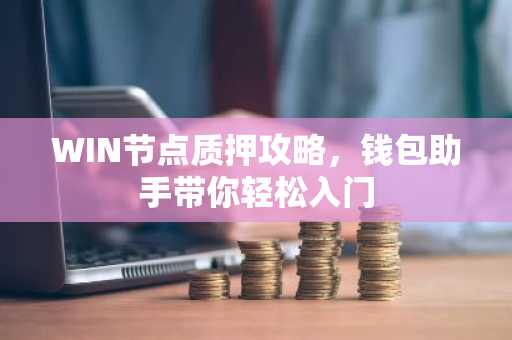 WIN节点质押攻略，钱包助手带你轻松入门