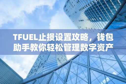 TFUEL止损设置攻略，钱包助手教你轻松管理数字资产