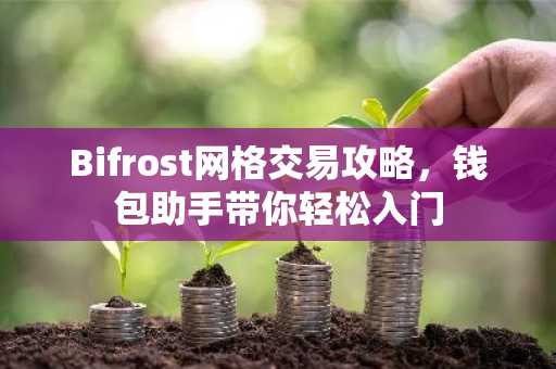 Bifrost网格交易攻略，钱包助手带你轻松入门