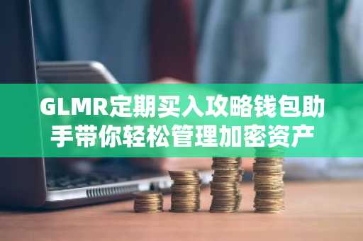 GLMR定期买入攻略钱包助手带你轻松管理加密资产