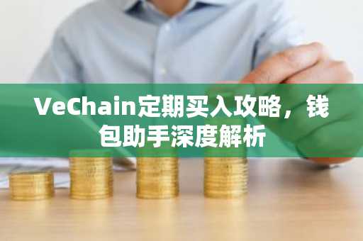 VeChain定期买入攻略，钱包助手深度解析