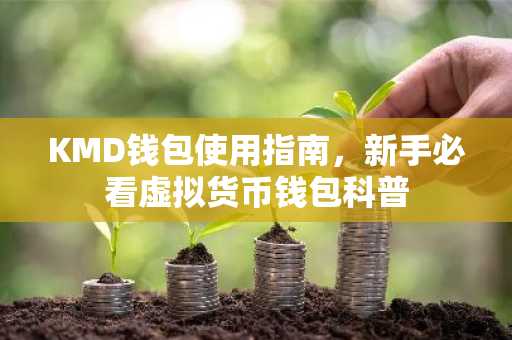 KMD钱包使用指南，新手必看虚拟货币钱包科普