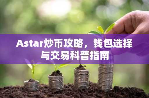 Astar炒币攻略，钱包选择与交易科普指南