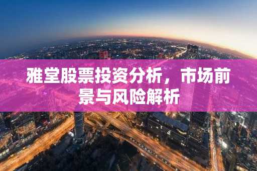 雅堂股票投资分析，市场前景与风险解析