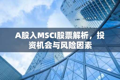 A股入MSCI股票解析，投资机会与风险因素