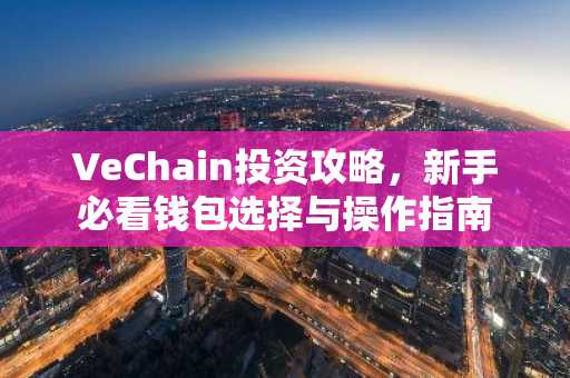 VeChain投资攻略，新手必看钱包选择与操作指南