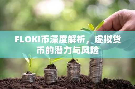 FLOKI币深度解析，虚拟货币的潜力与风险