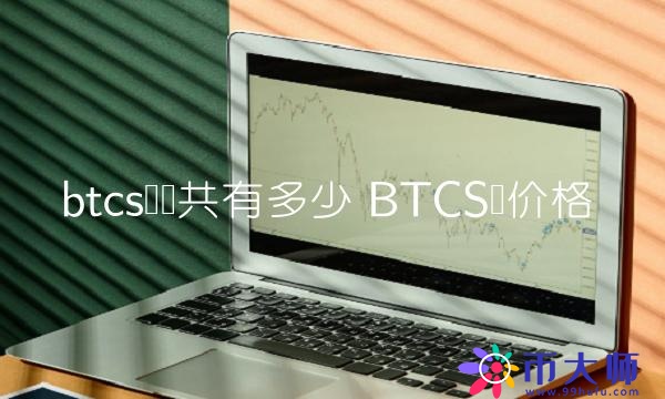 btcs币总共有多少