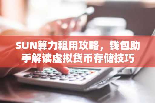SUN算力租用攻略，钱包助手解读虚拟货币存储技巧