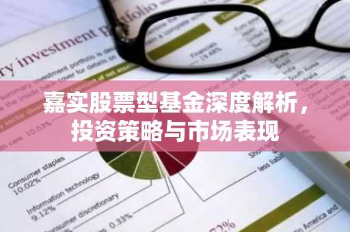 嘉实股票型基金深度解析，投资策略与市场表现
