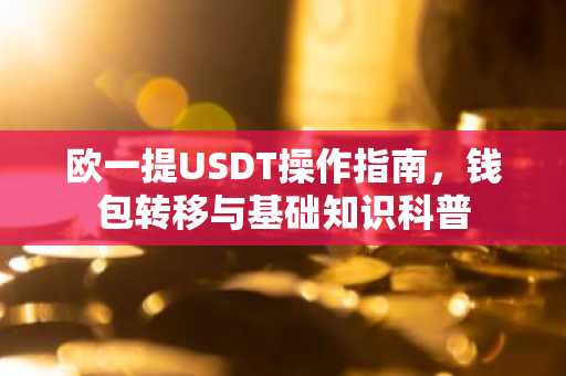 欧一提USDT操作指南，钱包转移与基础知识科普