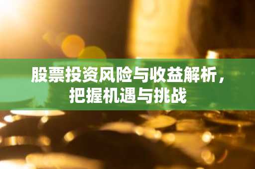 股票投资风险与收益解析，把握机遇与挑战
