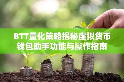 BTT量化策略揭秘虚拟货币钱包助手功能与操作指南