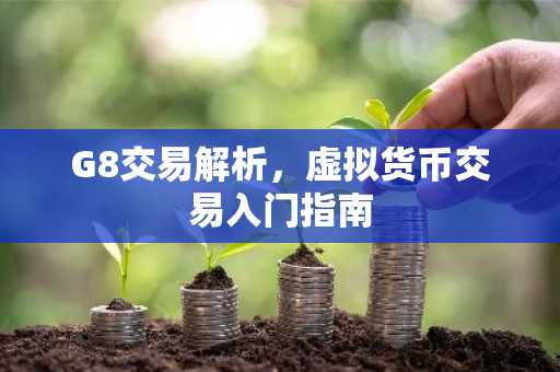 G8交易解析，虚拟货币交易入门指南
