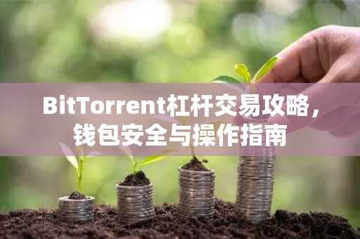 BitTorrent杠杆交易攻略，钱包安全与操作指南