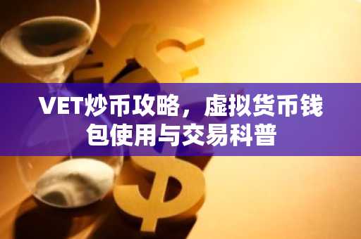 VET炒币攻略，虚拟货币钱包使用与交易科普