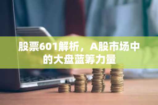 股票601解析，A股市场中的大盘蓝筹力量